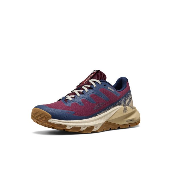 Women's Targhee Apex Waterproof Hiking Shoe | Fig/Naval Academy
