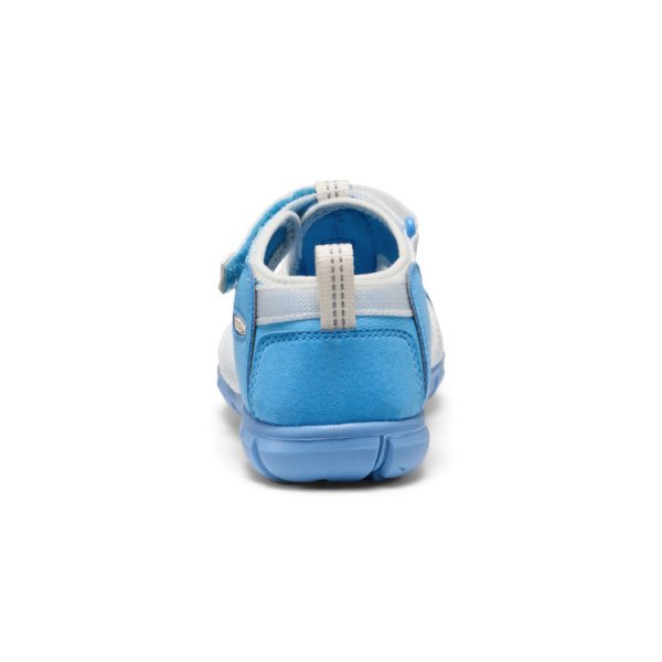 Big Kids' Seacamp II CNX  |  Azure Blue/Star White