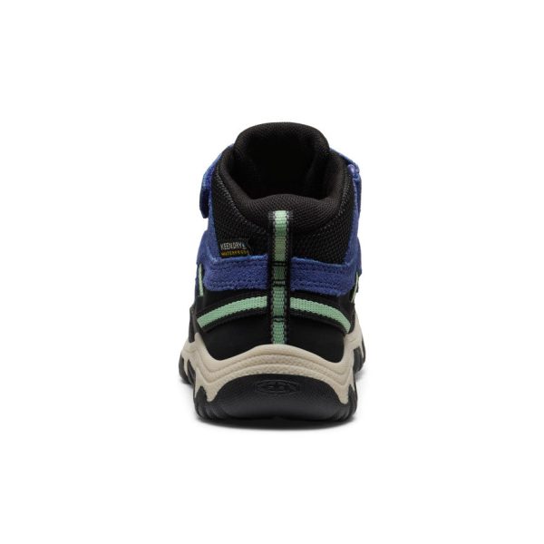 Little Kids' Targhee IV Waterproof Hiking Boot | Skipper Blue/Hemlock