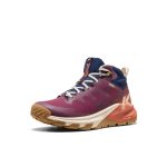 Women's Targhee Apex Waterproof Hiking Boot | Fig/Burnt Brick