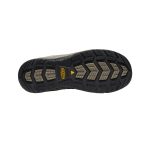 Men's Flint II Waterproof (Steel Toe) | Cascade Brown/Orion Blue