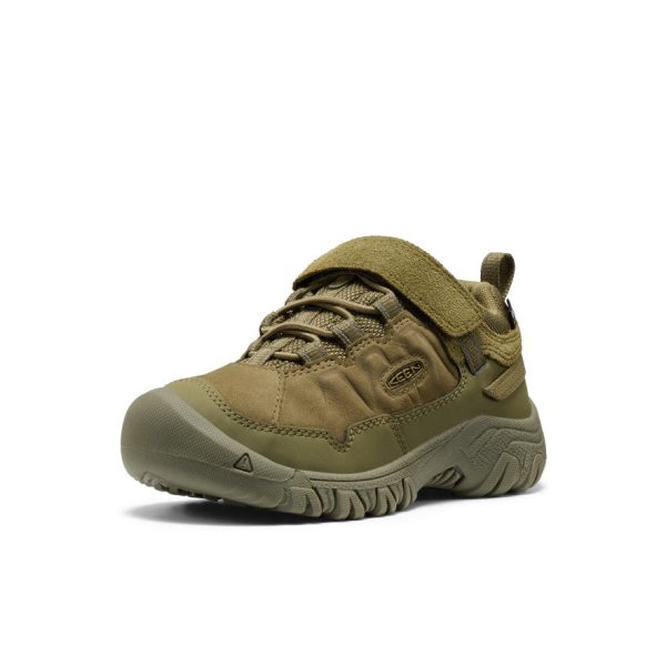 Little Kids' Targhee IV Waterproof Hiking Shoe | Martini Olive