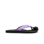 Women's Barbados Flip-Flop  |  Orchid Bloom/Black