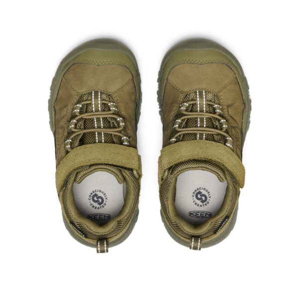 Little Kids' Targhee IV Waterproof Hiking Shoe | Martini Olive