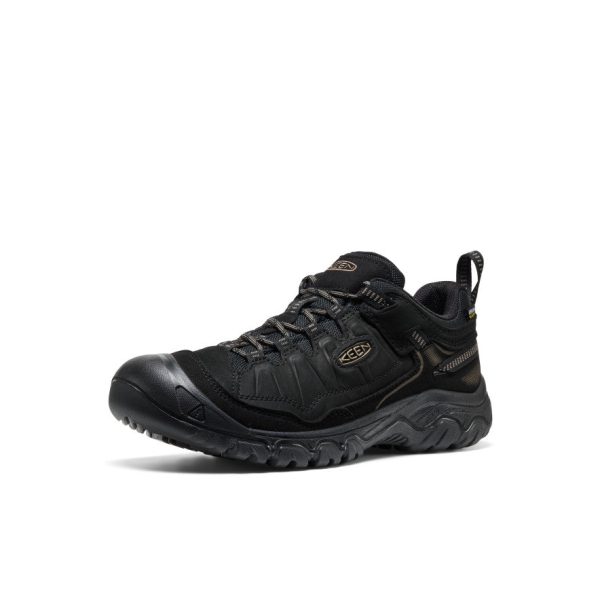 Men's Targhee IV Waterproof Hiking Shoe | Triple Black